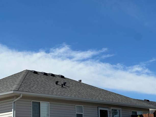 Best Gutter Installation and Repair  in Helotes, TX